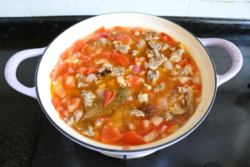 Beef Brisket Stew with Tomatoes and Potatoes