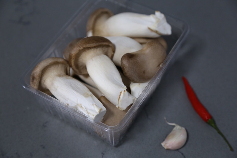 Hand Torn Almond Abalone Mushroom