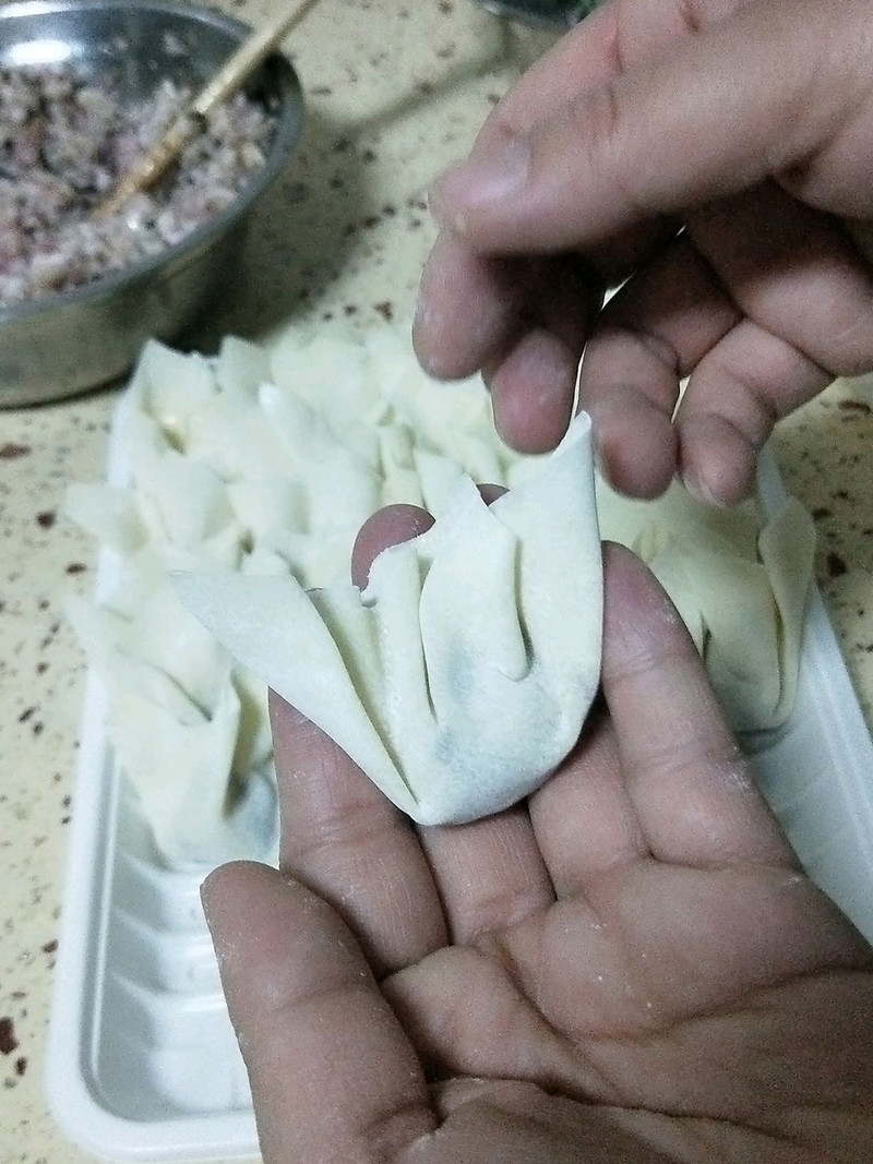wonton