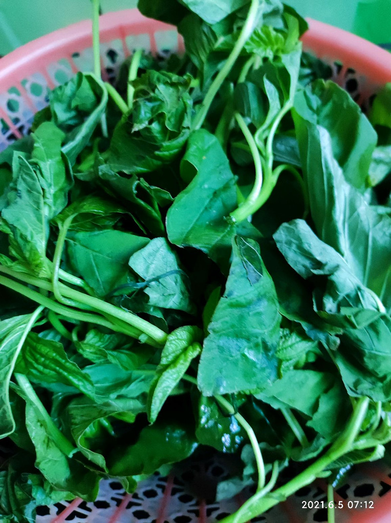 Steamed Wild Vegetables