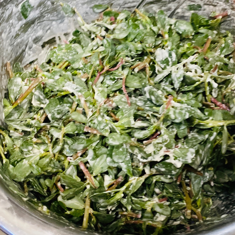 Ants and Vegetables Bun