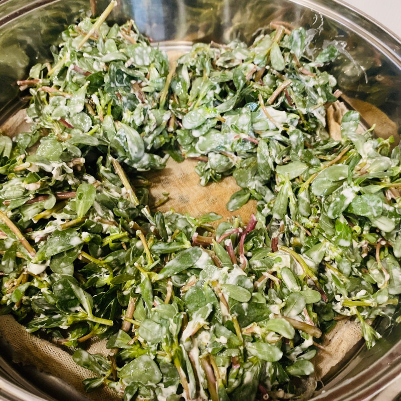 Ants and Vegetables Bun