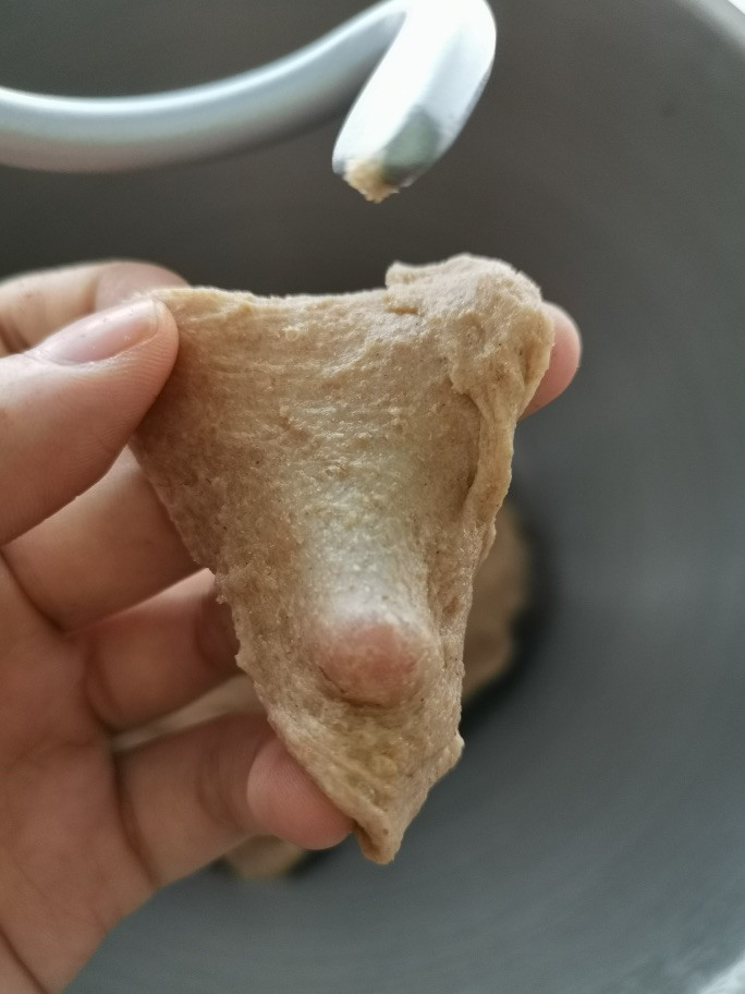 Whole Wheat Bread