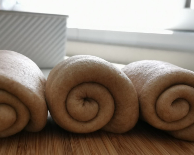 Whole Wheat Bread