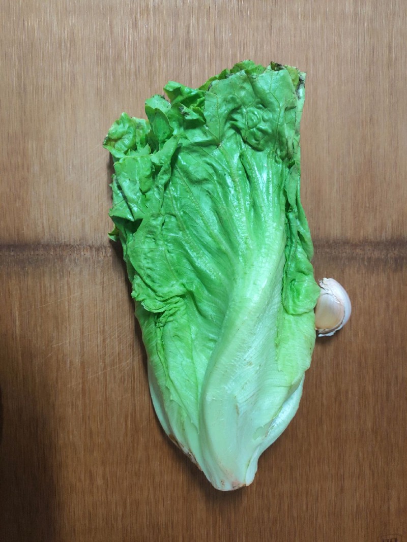 Cold Lettuce