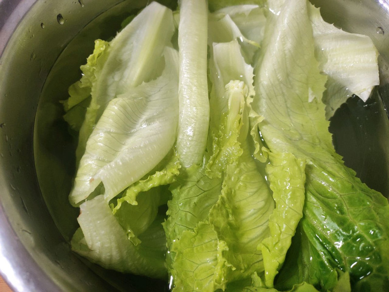 Cold Lettuce