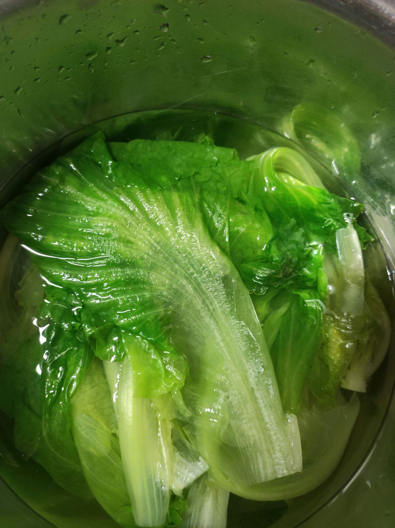 Cold Lettuce