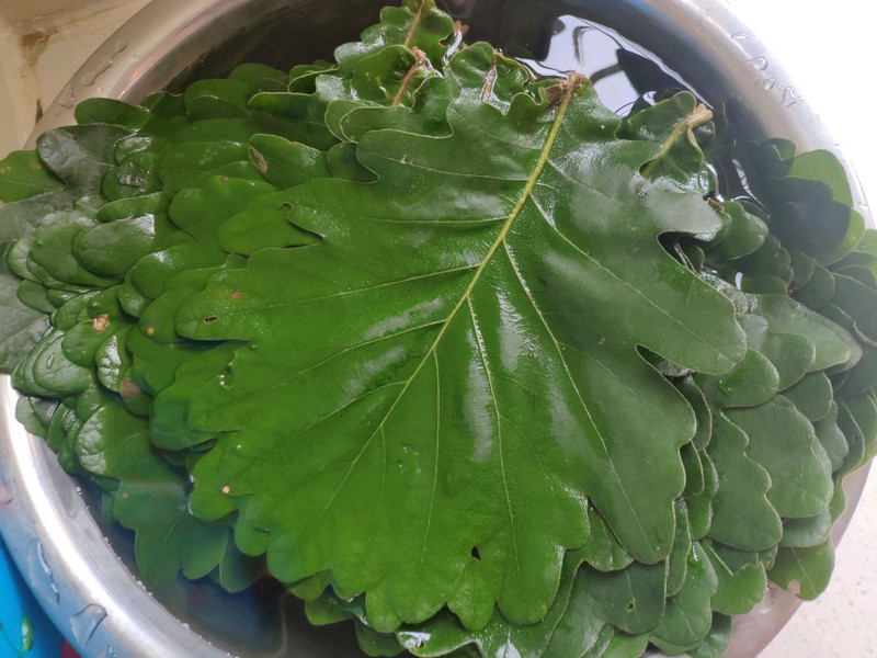 Glass Leaf Biscuits