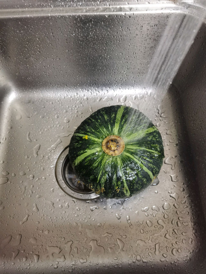 roasted squash