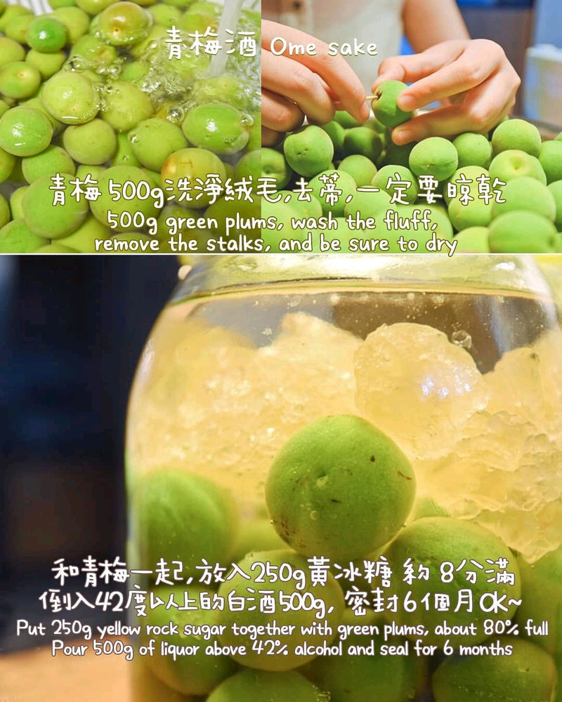 Fruit Wine